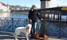 misto-lucern
