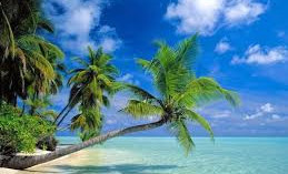 Which careers allow you to work anywhere in the world1724176094