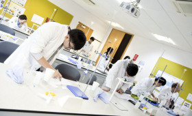 students-working