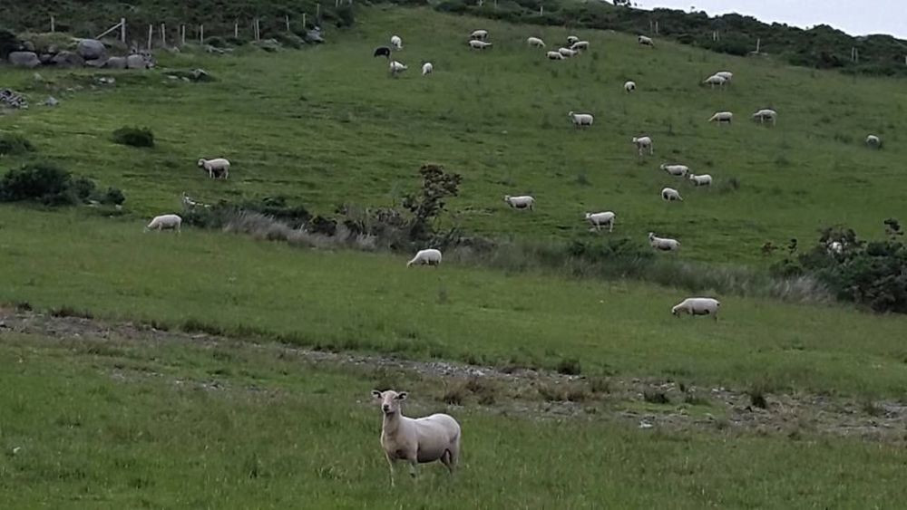 ireland-ship