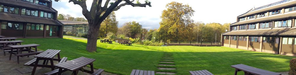 ACS_Cobham_school_garden