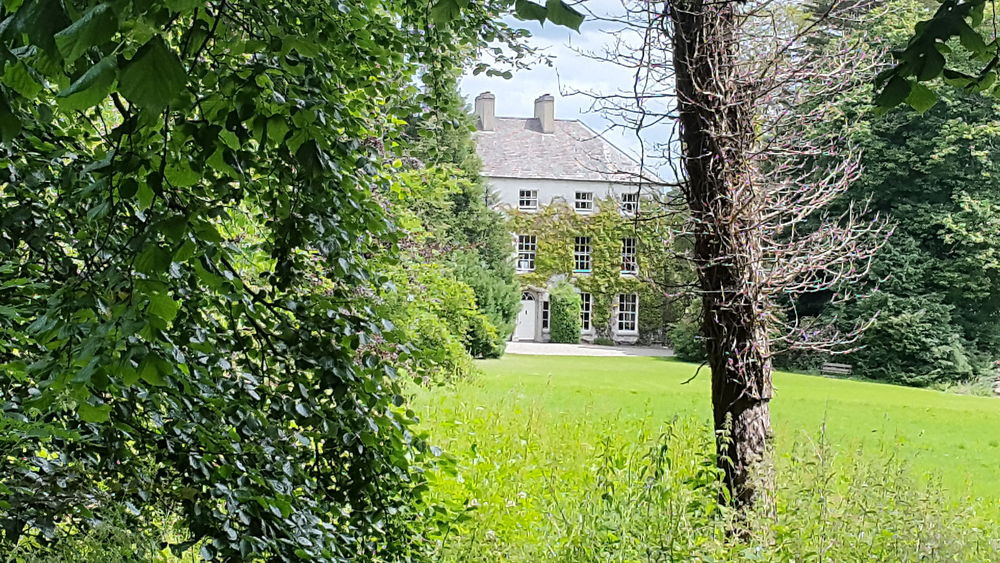 irish-country-side