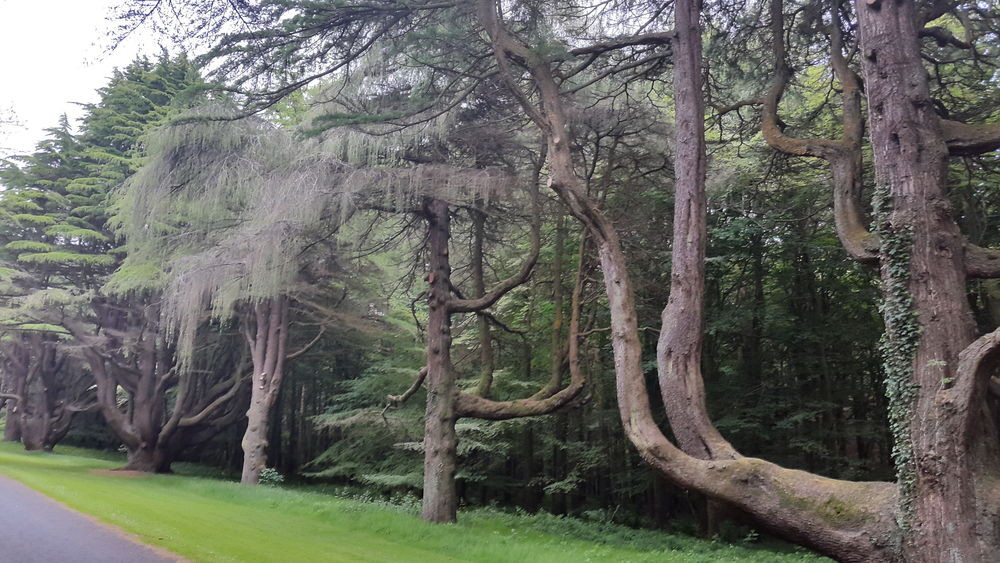 northen-ireland