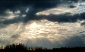 Влияние коронавируса на сектор международного образования и языковых путешествий1728663808