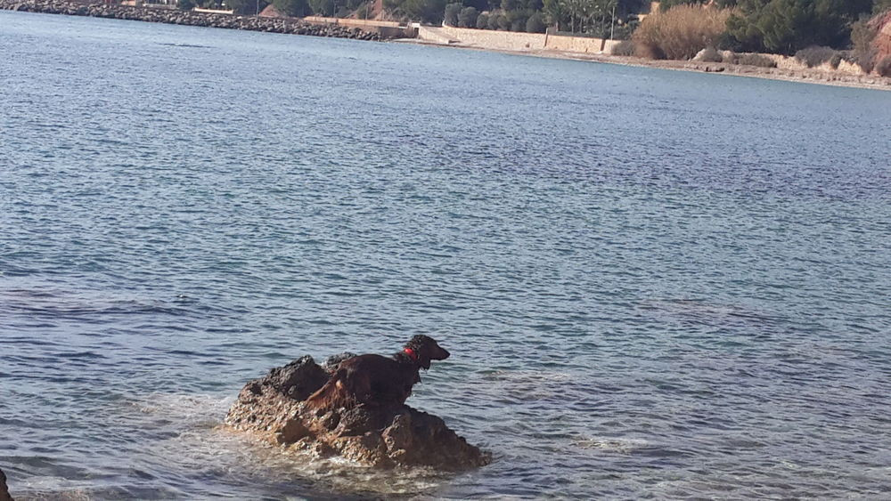 Altea-hills-seashore